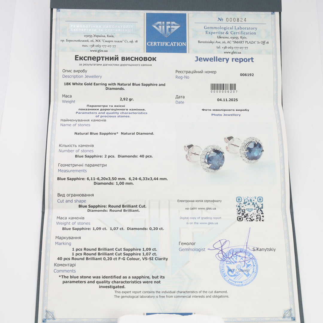 Natural Blue Sapphire 2.16 Ct & 20 Diamonds Halo Stud Earrings | 18K White Gold