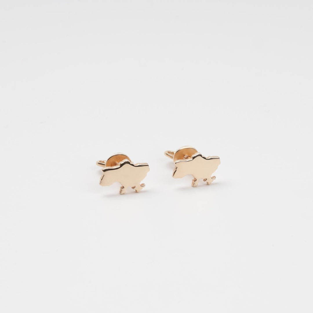 Ukraine Map Gold Stud Earrings | 14K (585) Rose Gold | Ukrainian Jewelry