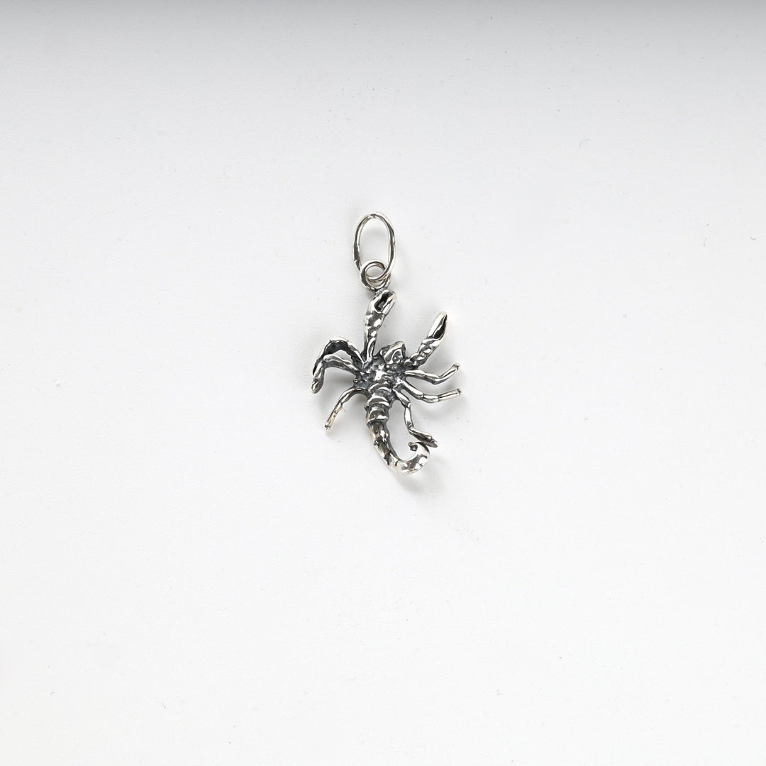 Silver 925 Sculptural Scorpion Pendant | Ukrainian Jewelry